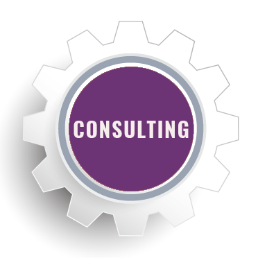 Business Consulting